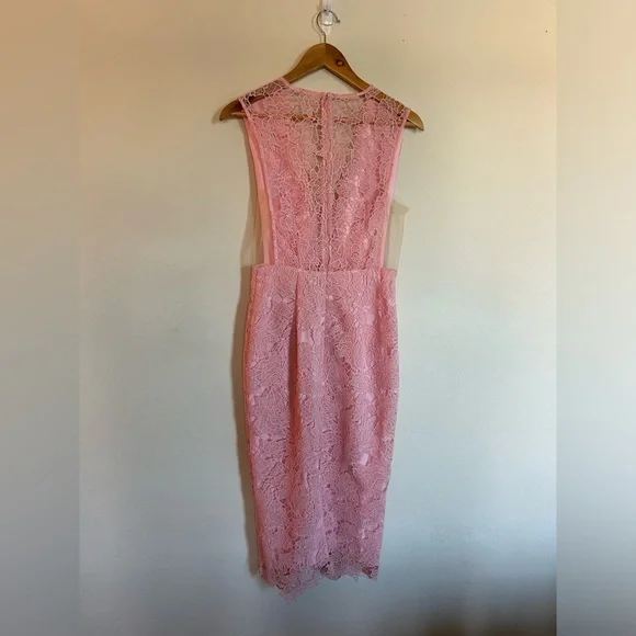 Sau Lee Pink Lace Kendall Dress - 4 - Picture 3 of 6